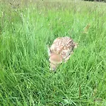 Zur Sonne Winzenhohl 3* Hösbach